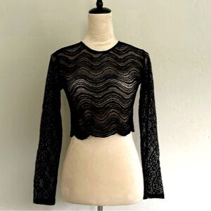 ZARA Long Sleeve Lace Crop Top